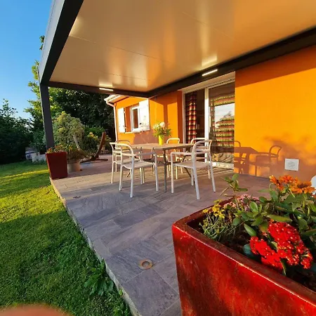 Labradors De Bailly - Giverny Saint-Pierre-la-Garenne