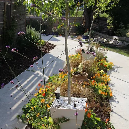 Labradors De Bailly - Giverny