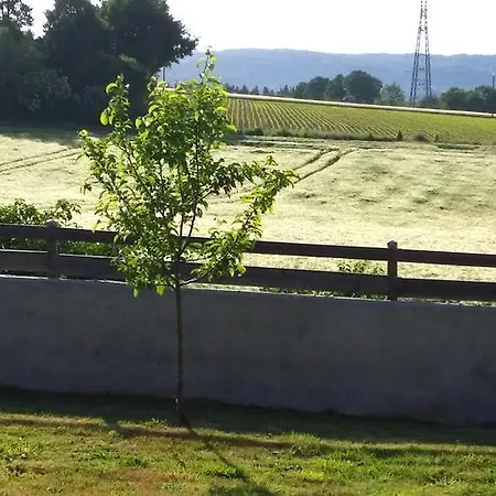 Labradors De Bailly - Giverny