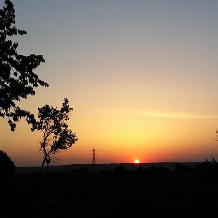 Labradors De Bailly - Giverny Saint-Pierre-la-Garenne