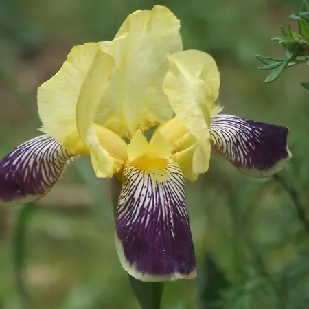 Vakantiehuis Labradors De Bailly - Giverny Saint-Pierre-la-Garenne