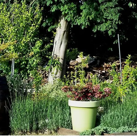 Labradors De Bailly - Giverny Vakantiehuis *