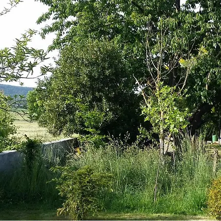 Labradors De Bailly - Giverny Vakantiehuis