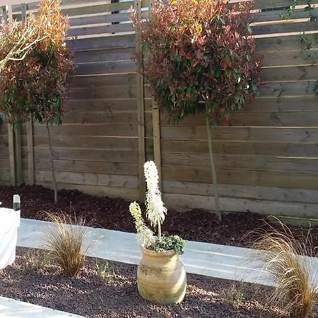 Labradors De Bailly - Giverny * Saint-Pierre-la-Garenne