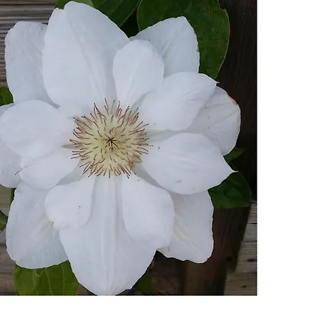 Vakantiehuis Labradors De Bailly - Giverny Saint-Pierre-la-Garenne