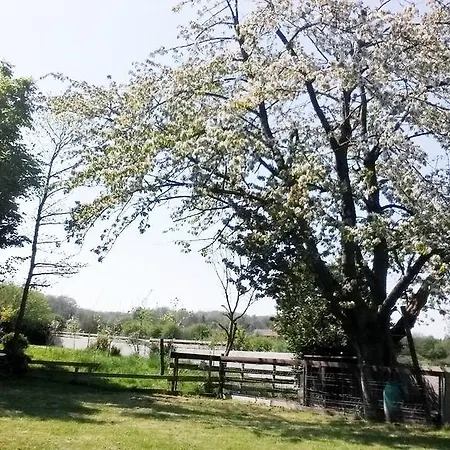 Labradors De Bailly - Giverny