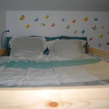 Labradors De Bailly - Giverny