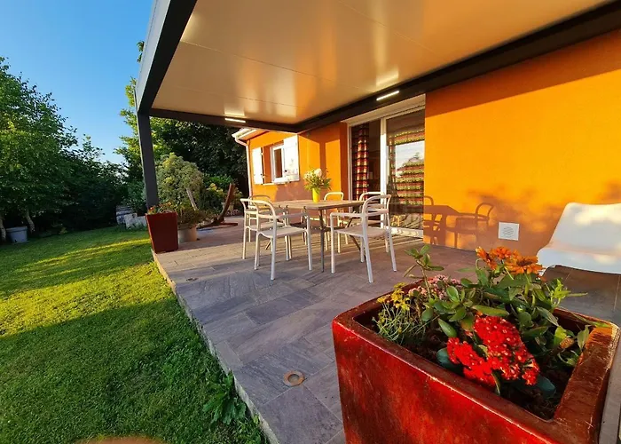 Labradors De Bailly - Giverny Saint-Pierre-la-Garenne