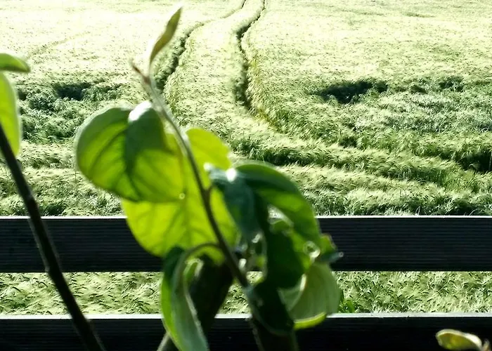 Vakantiehuis Labradors De Bailly - Giverny Saint-Pierre-la-Garenne