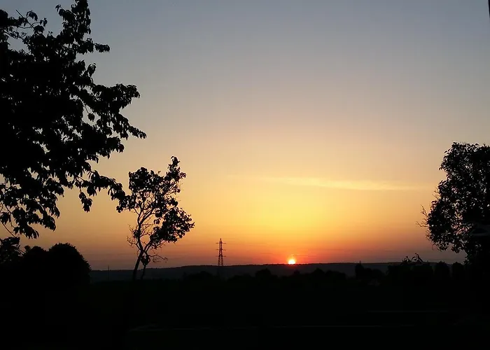 Labradors De Bailly - Giverny Saint-Pierre-la-Garenne