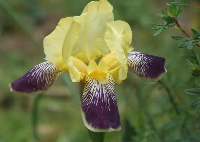 Vakantiehuis Labradors De Bailly - Giverny Saint-Pierre-la-Garenne