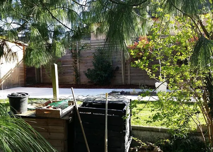 Labradors De Bailly - Giverny *