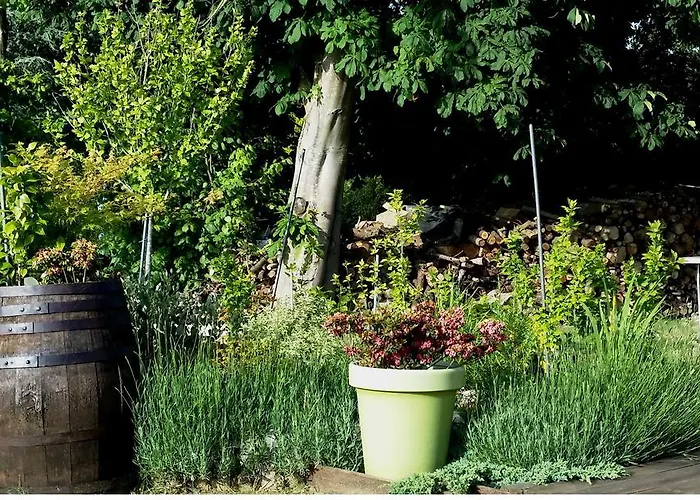 Labradors De Bailly - Giverny Vakantiehuis *