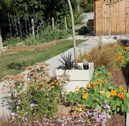 Labradors De Bailly - Giverny * Saint-Pierre-la-Garenne