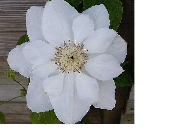Vakantiehuis Labradors De Bailly - Giverny Saint-Pierre-la-Garenne