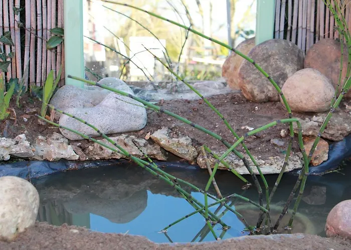 Vakantiehuis Labradors De Bailly - Giverny