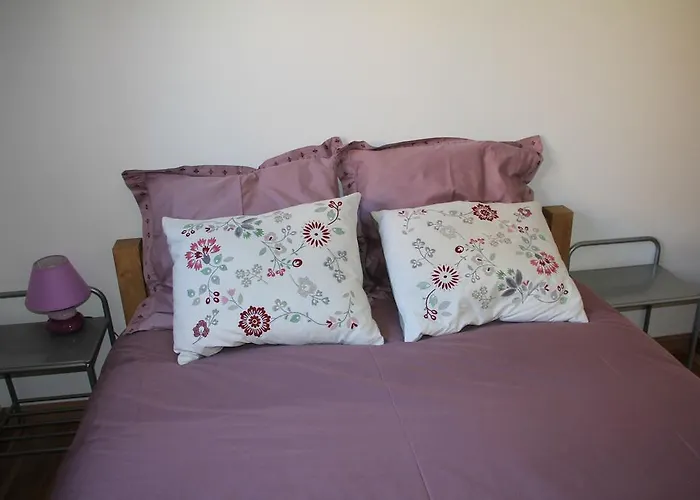 Labradors De Bailly - Giverny Vakantiehuis